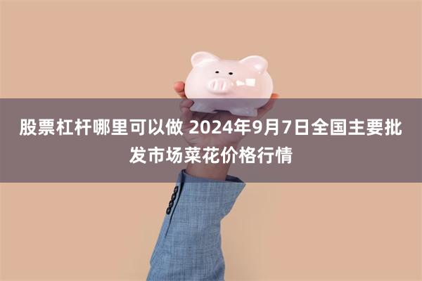 股票杠杆哪里可以做 2024年9月7日全国主要批发市场菜花价格行情