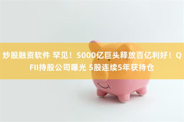 炒股融资软件 罕见！5000亿巨头释放百亿利好！QFII持股公司曝光 5股连续5年获持仓