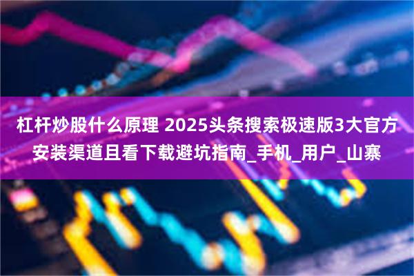 杠杆炒股什么原理 2025头条搜索极速版3大官方安装渠道且看下载避坑指南_手机_用户_山寨