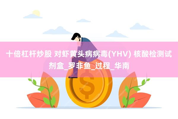 十倍杠杆炒股 对虾黄头病病毒(YHV) 核酸检测试剂盒_罗非鱼_过程_华南