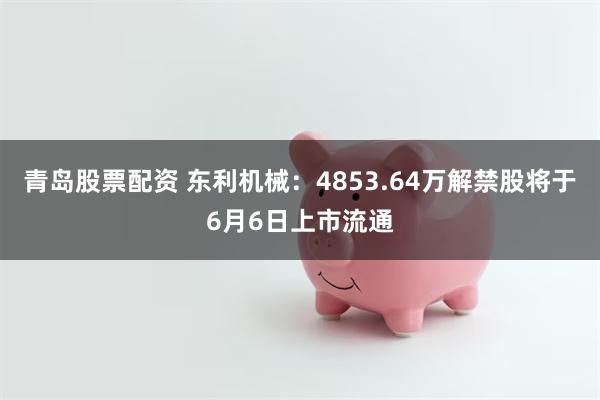 青岛股票配资 东利机械：4853.64万解禁股将于6月6日上市流通