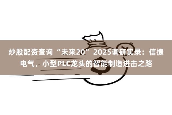 炒股配资查询 “未来20” 2025调研实录：信捷电气，小型PLC龙头的智能制造进击之路